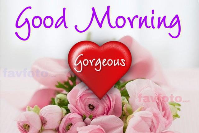 39 Beautiful Good Morning Flowers Hd Images Good Morning Wishes
