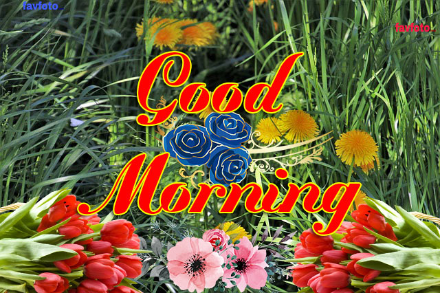 26+ [Dear Friend]- Good Morning Image For Friend Download