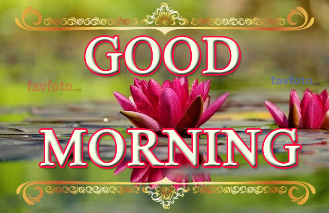 31+ Beautiful Good Morning Nature Images Wishes With Flowers -[2020]