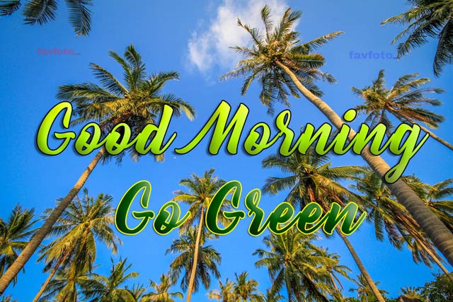 59+ Beautiful Good Morning Pic HD Images Wishes & Greetings New Collection 2022 3 good morning images with nature