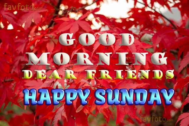 74+ New Good Morning Sunday Images HD Photos with Wishes 2023 22 good morning sunday images
