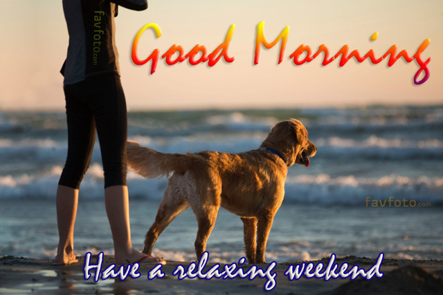 74+ New Good Morning Sunday Images HD Photos with Wishes 2023 23 sunday morning wishes