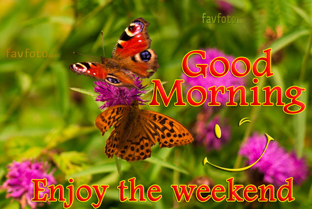 74+ New Good Morning Sunday Images HD Photos with Wishes 2023 14 good sunday morning pics