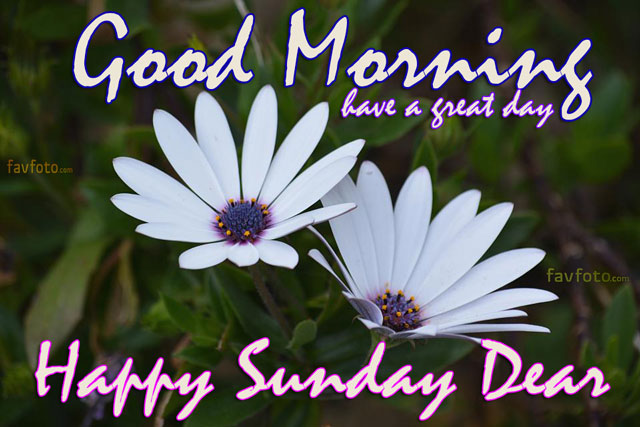 74+ New Good Morning Sunday Images HD Photos with Wishes 2023 16 enjoy your sunday images