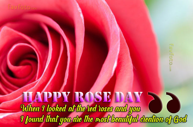 Valentine Week Days List & Wishes 2025 - 7th February to 14th February Days list 4 happy rose day images