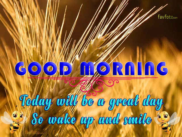 54+ Amazing Good Morning Image with Quote for Whatsapp & Facebook 2022 20 good morning images with quotes in english