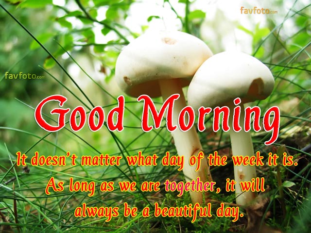 54+ Amazing Good Morning Image with Quote for Whatsapp & Facebook 2022 12 good morning motivation image