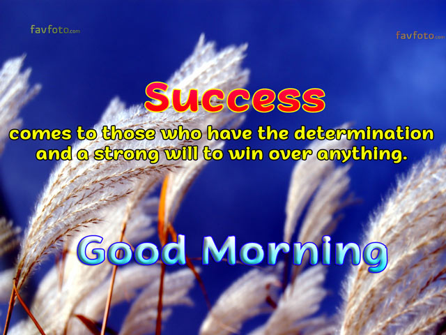 54+ Amazing Good Morning Image with Quote for Whatsapp & Facebook 2022 5 good morning image with quotes