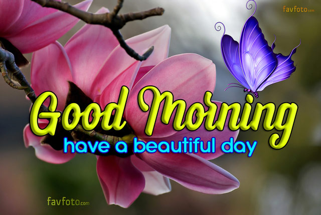 good morning images with flowers hd
