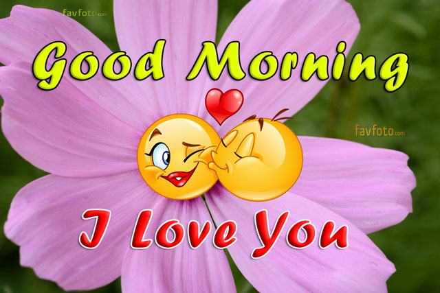 good morning flowers with messages
