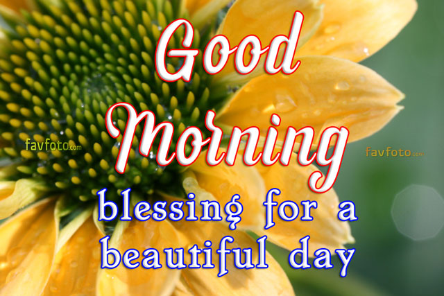 good morning wishes with flowers