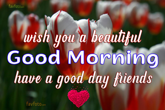 good morning images with flowers hd