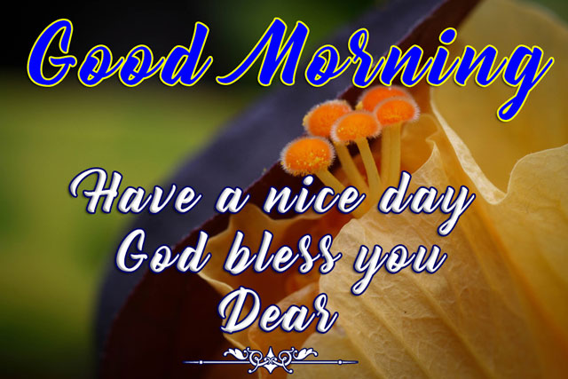 good morning images with flowers hd