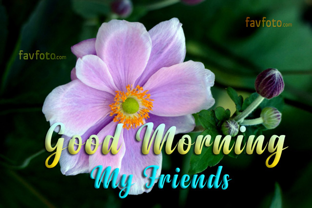 good morning my sweet friend images