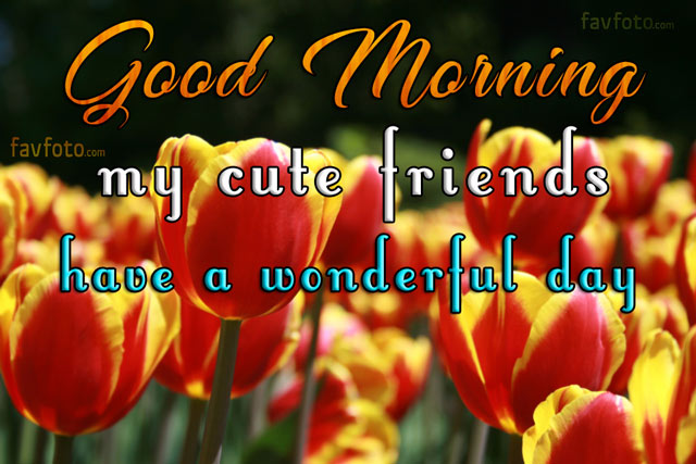images of good morning with flowers