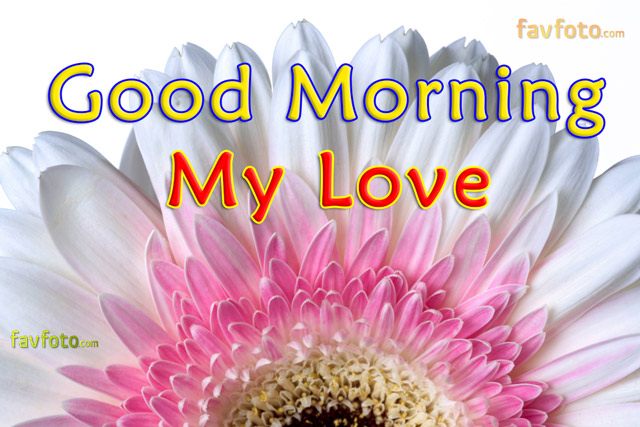 good morning flowers with messages