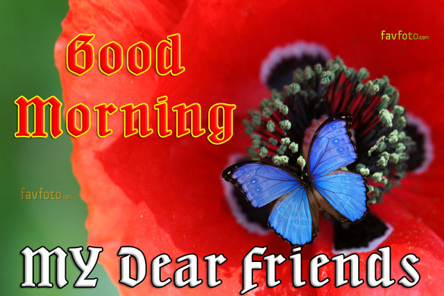 good morning friends images with flowers