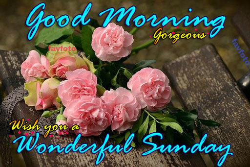 84+ Happy Sunday Good Morning Images for Whatsapp & Facebook 2023 8 good morning wishes for sunday