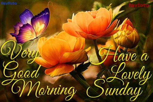 84+ Happy Sunday Good Morning Images for Whatsapp & Facebook 2023 4 good morning sunday flowers