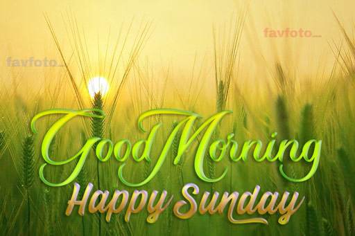 84+ Happy Sunday Good Morning Images for Whatsapp & Facebook 2023 2 good morning sunday images hd