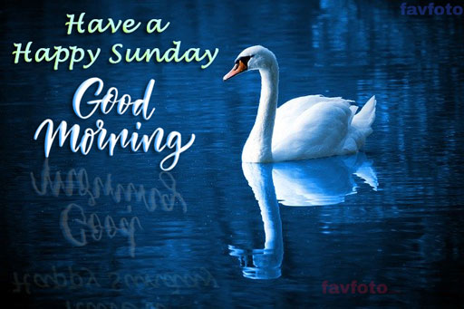 84+ Happy Sunday Good Morning Images for Whatsapp & Facebook 2023 1 happy sunday images for whatsapp