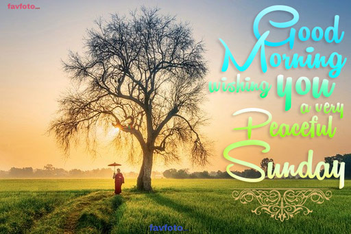 84+ Happy Sunday Good Morning Images for Whatsapp & Facebook 2023 23 sunday special wallpaper