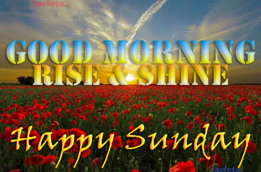 84+ Happy Sunday Good Morning Images for Whatsapp & Facebook 2023 20 good morning sunday images hd