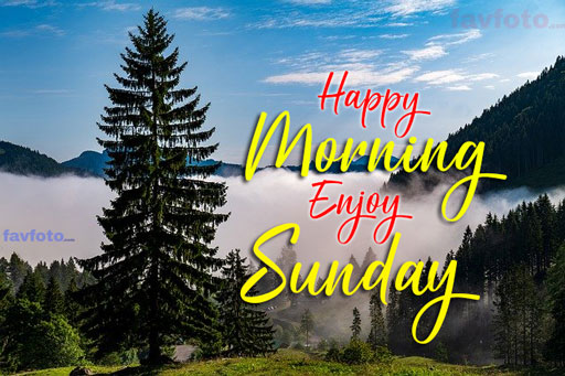 84+ Happy Sunday Good Morning Images for Whatsapp & Facebook 2023 19 happy sunday hd pictures