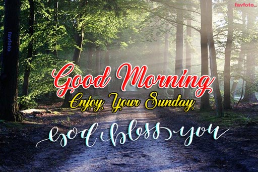 84+ Happy Sunday Good Morning Images for Whatsapp & Facebook 2023 15 happy sunday images for whatsapp