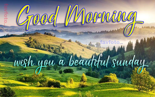 84+ Happy Sunday Good Morning Images for Whatsapp & Facebook 2023 14 sunday good morning wallpaper