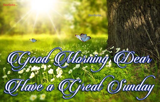 84+ Happy Sunday Good Morning Images for Whatsapp & Facebook 2023 9 sunday good morning images for whatsapp