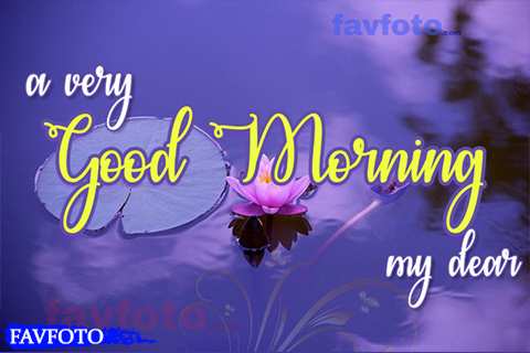 52+ Good Morning Images with Flowers HD Download - Good Morning Flowers Pic 2022 18 good morning wishes images