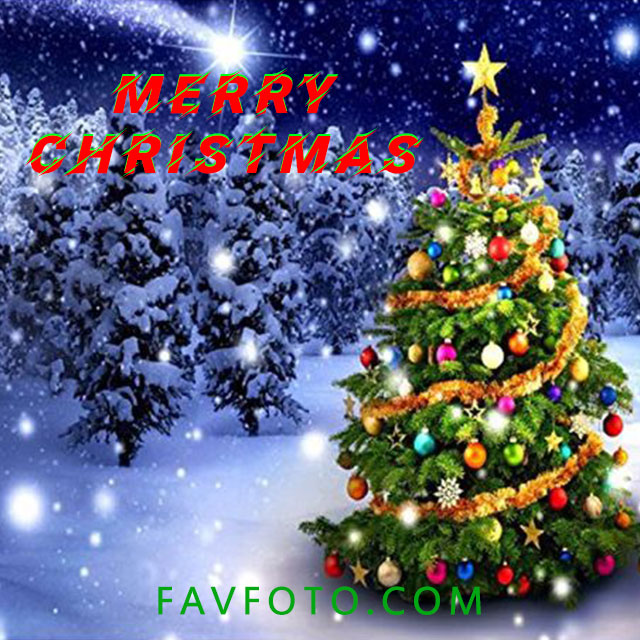 beautiful christmas pictures for facebook