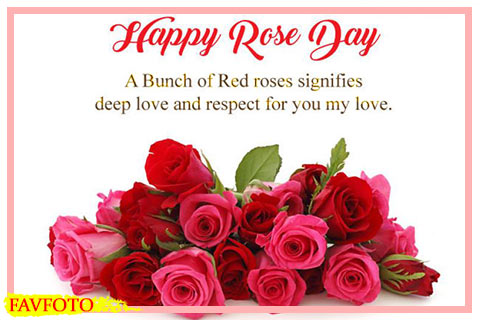 Featured image of post Rose Day Images For Husband Hd / Download all photos and use them even for commercial projects.