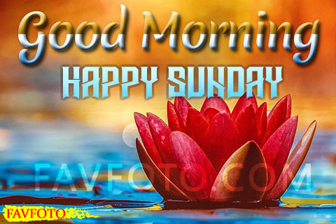 81+ Happy Sunday Good Morning Images for Whatsapp & Facebook 2022