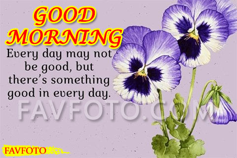 59+ Beautiful Good Morning Pic HD Images Wishes & Greetings New Collection 2022