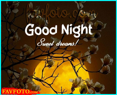 Latest Good Night Images Download For Whatsapp