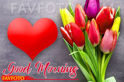 71+ Beautiful Good Morning Flowers Images with Best Wishes