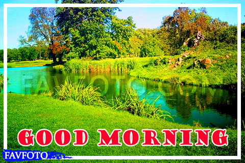 48+ Beautiful Good Morning Nature Images Wishes -[2022]