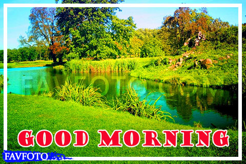 52+ Beautiful Good Morning Nature Images Wishes -[2023]