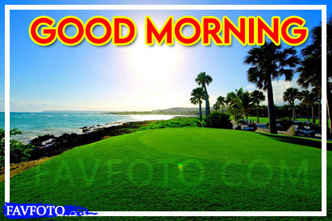 52+ Beautiful Good Morning Nature Images Wishes -[2023]