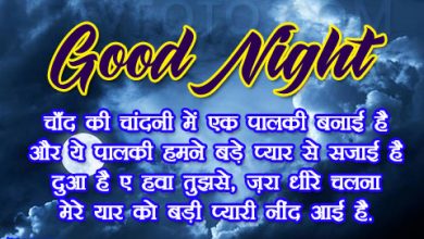Good Night Message In Hindi | गुड नाईट मैसेज हिंदी में 2023