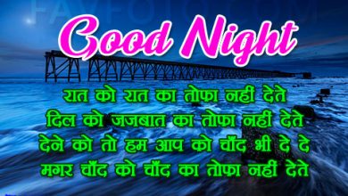 Good Night Shayari In Hindi | गुड नाईट शायरी हिंदी में 2023