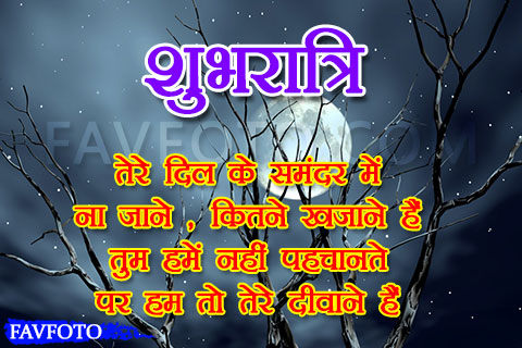 Best Good Night Wishes In Hindi