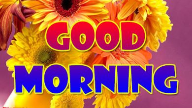 71+ Beautiful Good Morning Flowers Images with Best Wishes