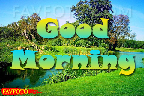 Fresh Good Morning Nature Images Photos Free