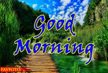 52+ Beautiful Good Morning Nature Images Wishes -[2023]