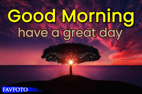 59+ Beautiful Good Morning Pic HD Images Wishes & Greetings New Collection  2022 » FAVFOTO
