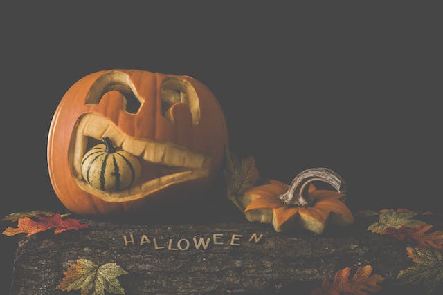 179+ Best Halloween Instagram Captions for You and Your Best Ghoul-Friends 1 179+ Best Halloween Instagram Captions for You and Your Best Ghoul-Friends